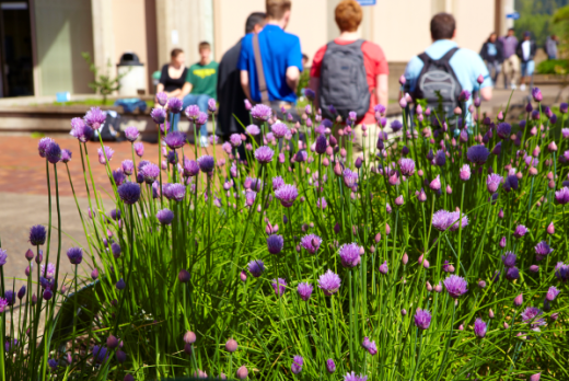 flowers on campus with students walking in background