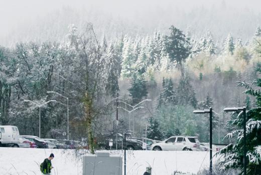 view of hills from campus snow covered cars and trees and sparkling winter sunlight