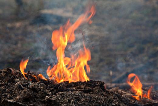 Yellow fire flames on natural wood