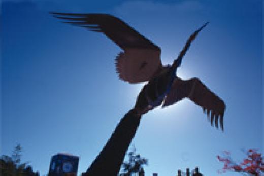 Crane sculpture by buses on main campus