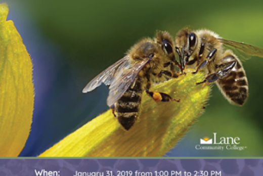 Willamette Valley Pollinators presentation event poster