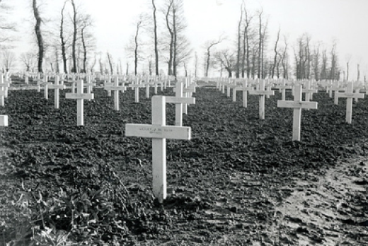 Military Cemetery by Sam Blackwell