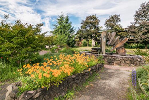 image of colorful plants around LCC fountain