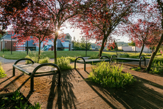 View of main campus near Center Building at sunset