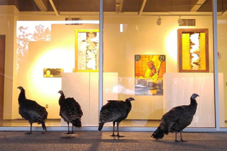Photo of turkeys by Art Gallery on main campus 2017