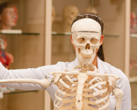 Skeleton in classroom