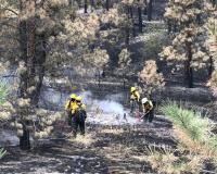 Firefighters hosing down smoldering cinders in a burnt forest
