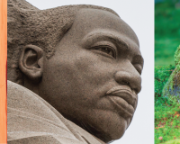 collage of old castle, indian temple carvings, martin luther king jr statue, and ancient statues covered in moss