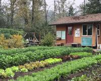 the LCC Learning Garden with many different vegetables planted