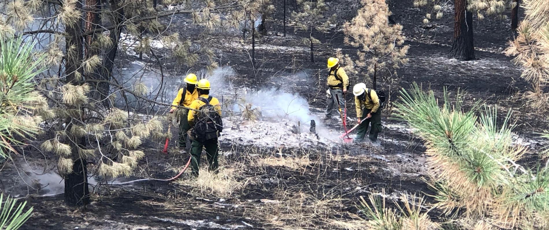 Firefighters are mopping up by spraying water from a hose and mixing the water and dirt to extinguish the fire. Photo by Washington Southeast DNR; Inciweb, Flickr