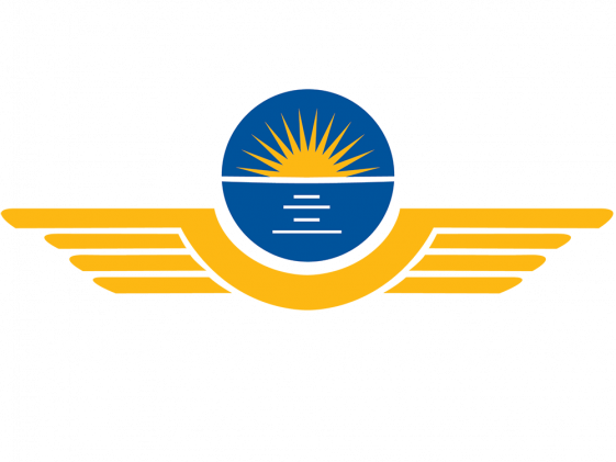 Logo for our Aviation Academy