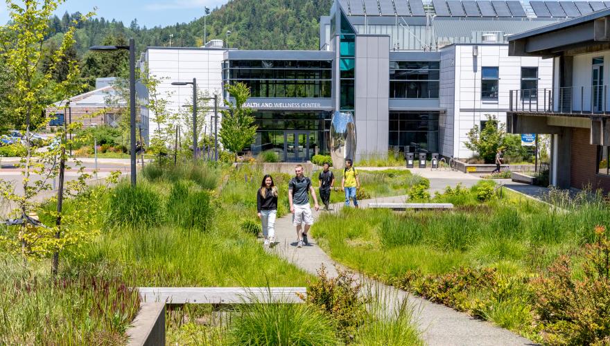 walkway with natural landscaping on lane campus