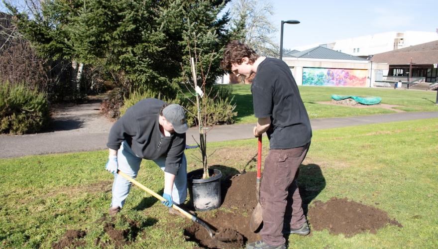 two students planting a tree with the colorful building 18 mural in the background