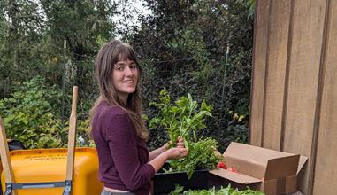 Ellie, a student worker, cleaning produce in the learning garden to donate to the food pantry