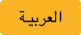 International program information in Arabic