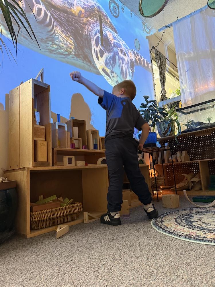 a little boy posing triumphantly in front of a projection of a sea turtle in a Lane Child and Family Center classroom