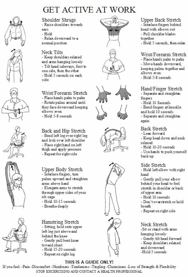 Ergonomics Exercise Sheet