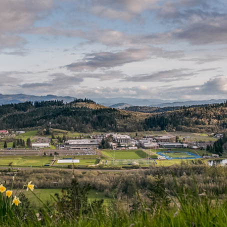 View of LCC main campus from hillside