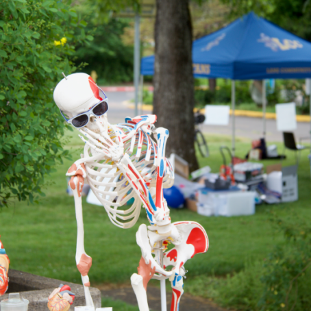 an anatomy class skeleton with sunglasses at an event