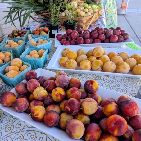 Summer produce from the Learning Garden: peaches, plums, and tomatillos