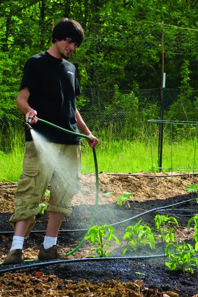 student watering plants in the learning garden