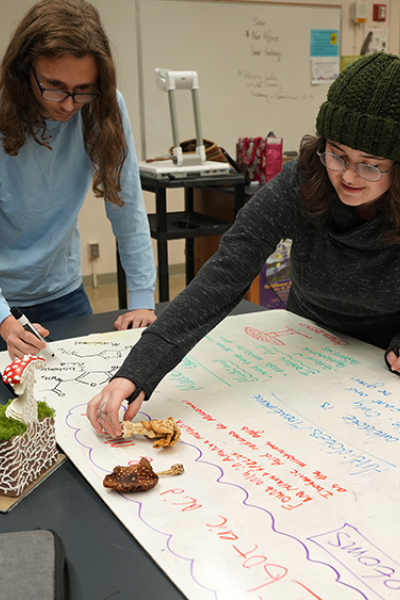 student make a mushroom diagram in a biology class